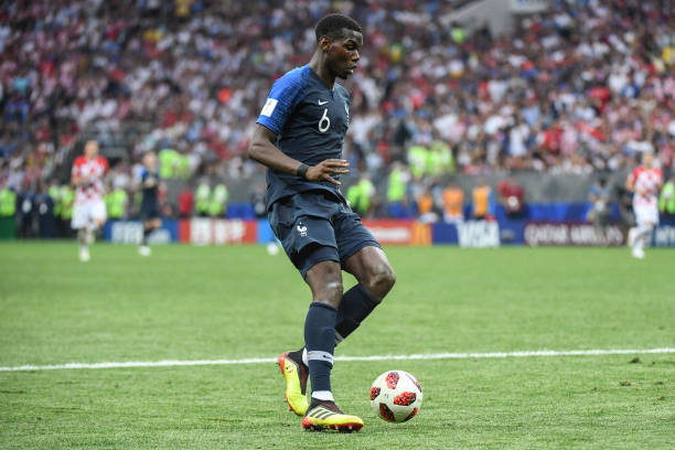 多样性闻名 多样性闻名