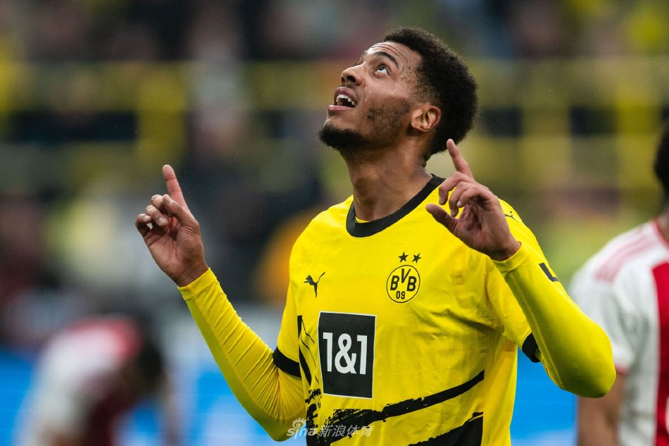 的南美球员 的南美球员